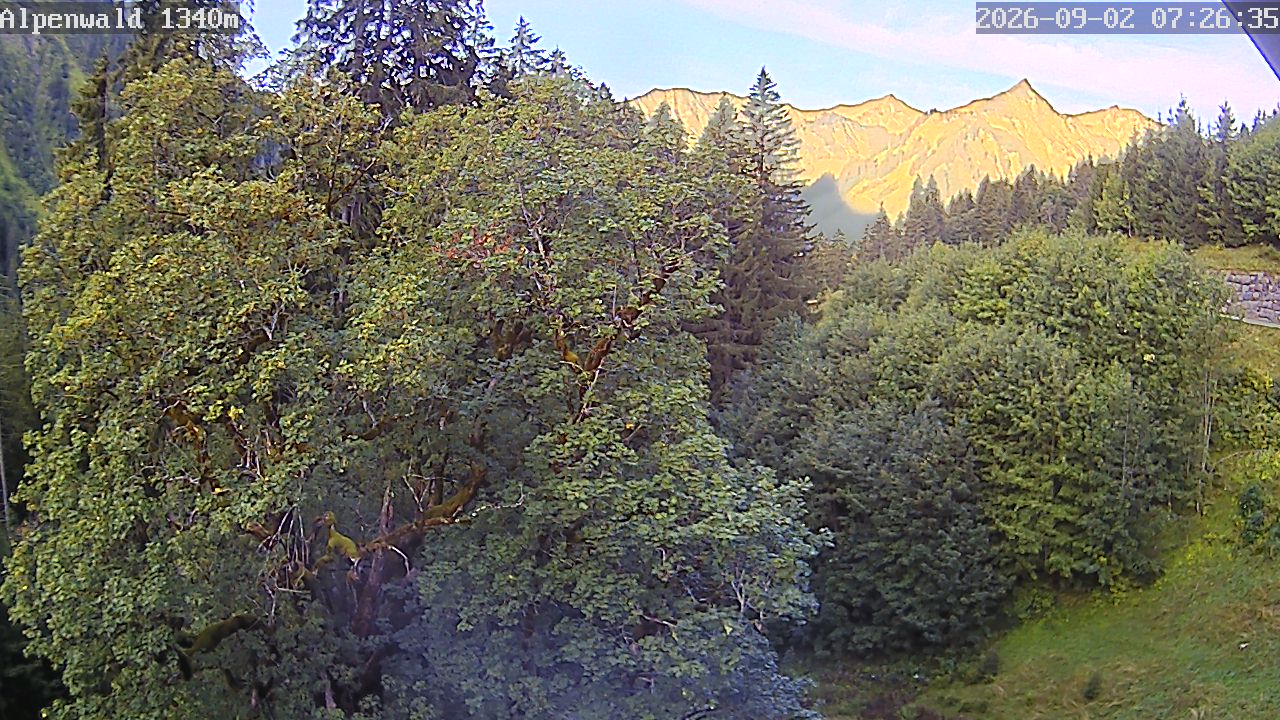 Bild: Gasthof Alpenwald